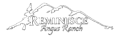 REMINISCE ANGUS RANCH